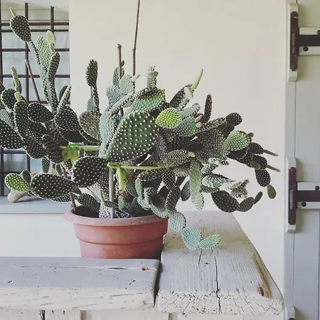 La Scuderia Charming 4* San Paolo Solbrito