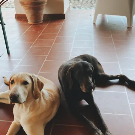 La Scuderia Charming 4*