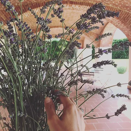 La Scuderia Charming 4* San Paolo Solbrito