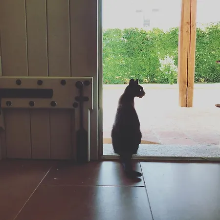 La Scuderia Charming 4*