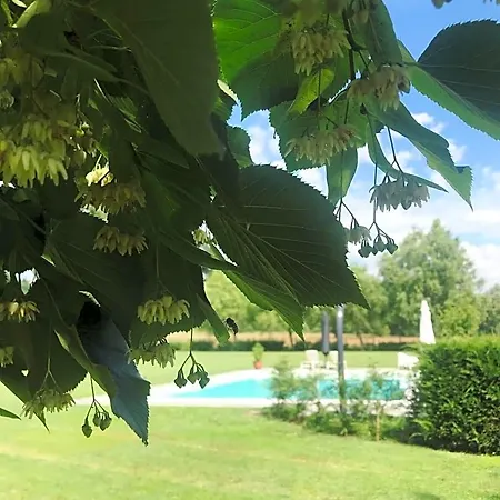B&B La Scuderia Charming 4*